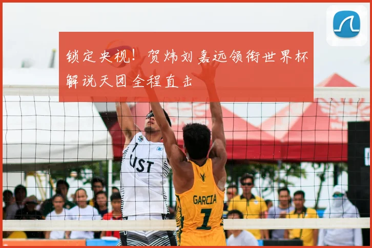锁定央视!贺炜刘嘉远领衔世界杯解说天团全程直击