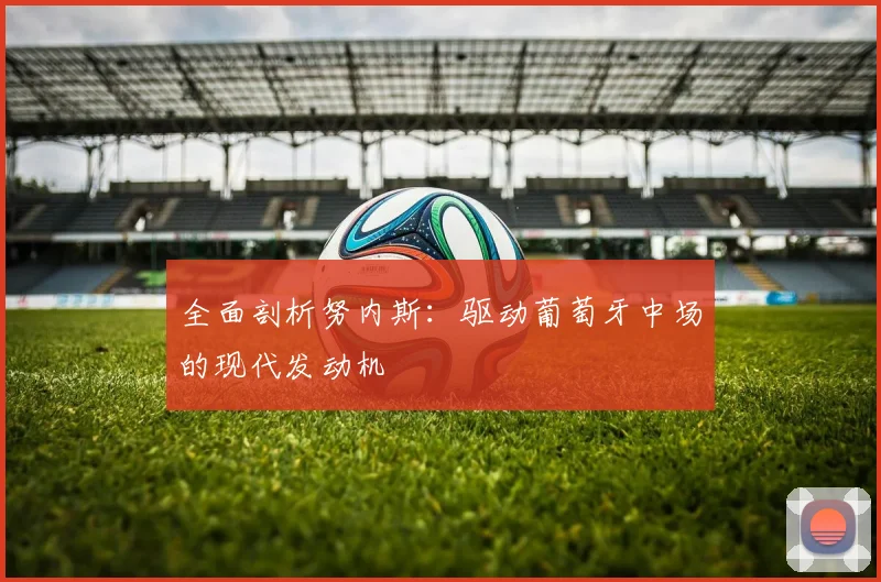 全面剖析努内斯:驱动葡萄牙中场的现代发动机