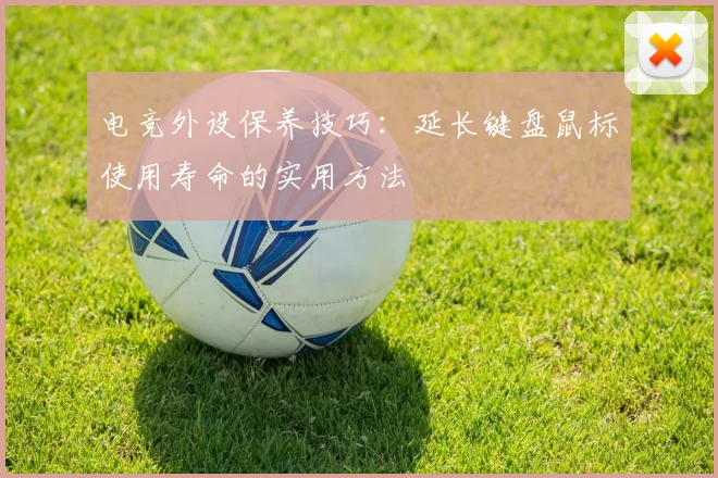 电竞外设保养技巧：延长键盘鼠标使用寿命的实用方法