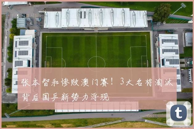 张本智和惨败澳门赛！3大名将淘汰背后国乒新势力浮现
